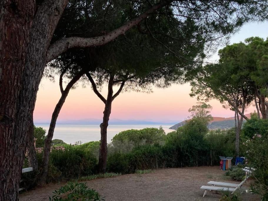 Villa Barabarca Capoliveri  Dış mekan fotoğraf