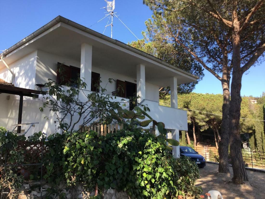 Villa Barabarca Capoliveri  Dış mekan fotoğraf